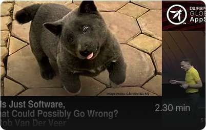 AI is just software, what could possible go wrong w/ Rob van der Veer